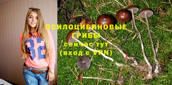СК Нефтекумск