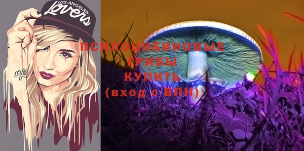 СК Нефтекумск