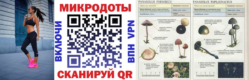 Псилоцибиновые грибы прущие грибы  Пыталово 